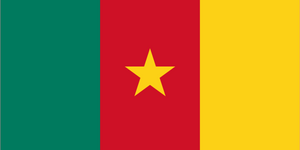 Kamerun Vizesi